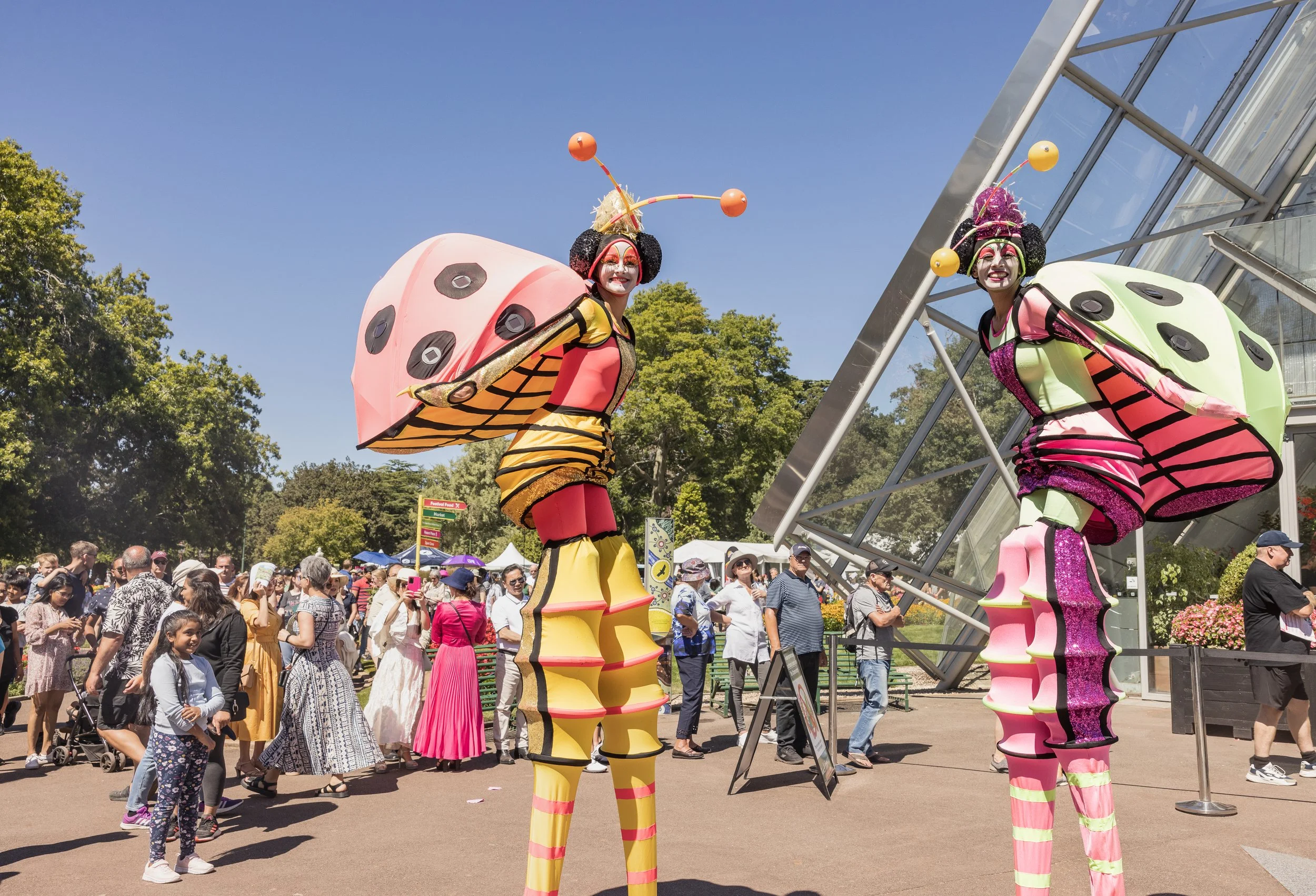 begonia festival, ballarat