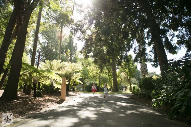 Geelong Botanic Gardens