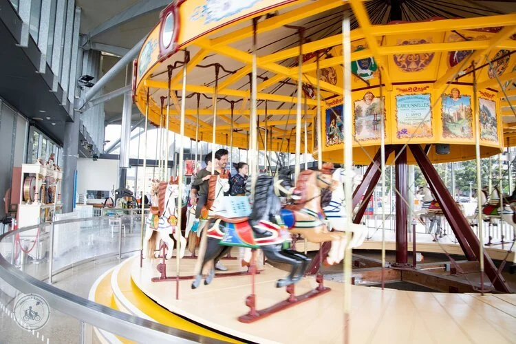 The Carousel