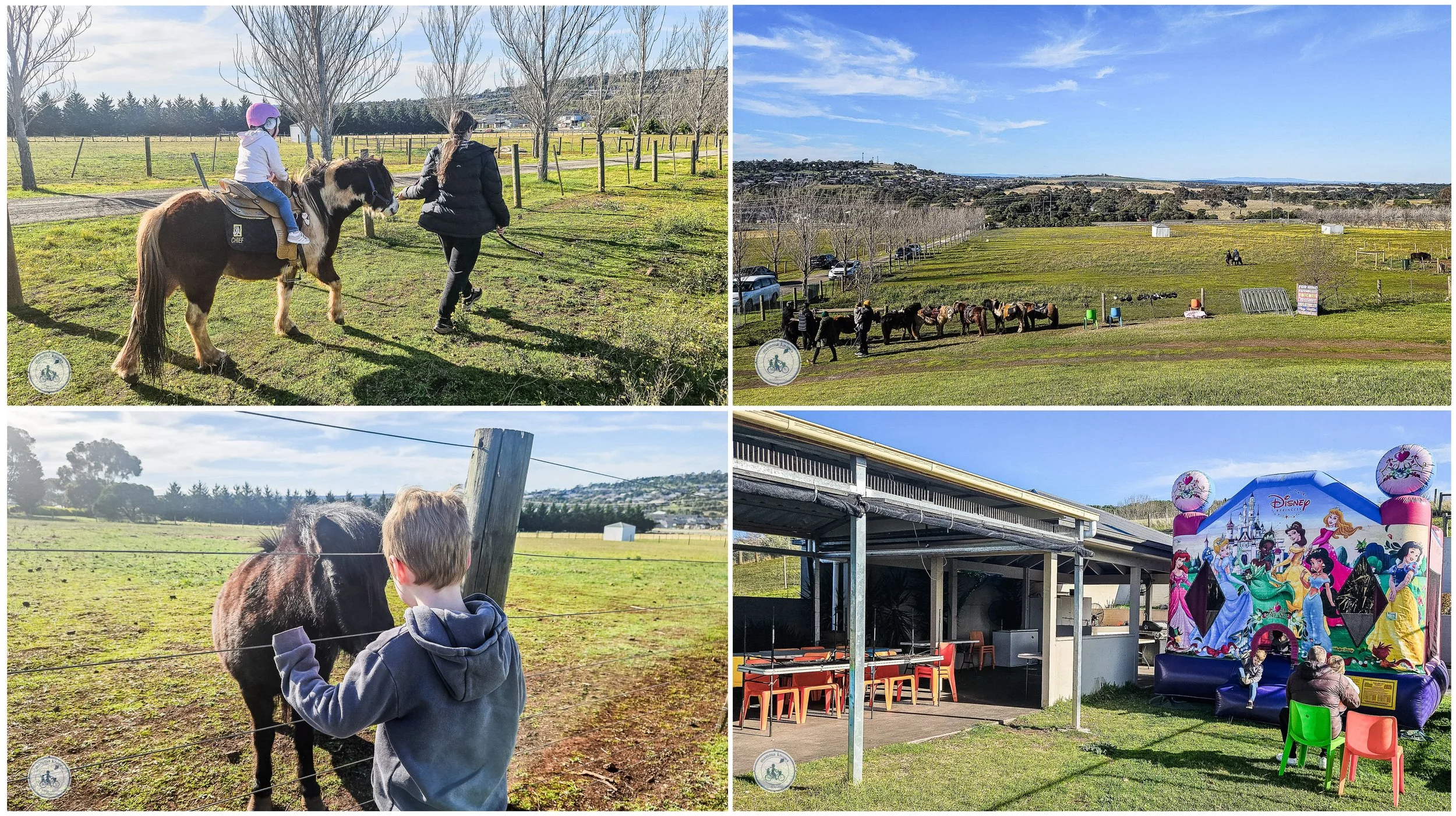 cute and cuddly pony rides, sunbury