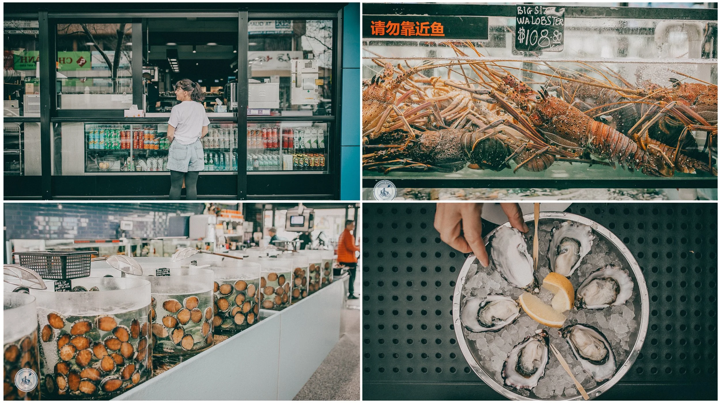 d k live seafood, footscray