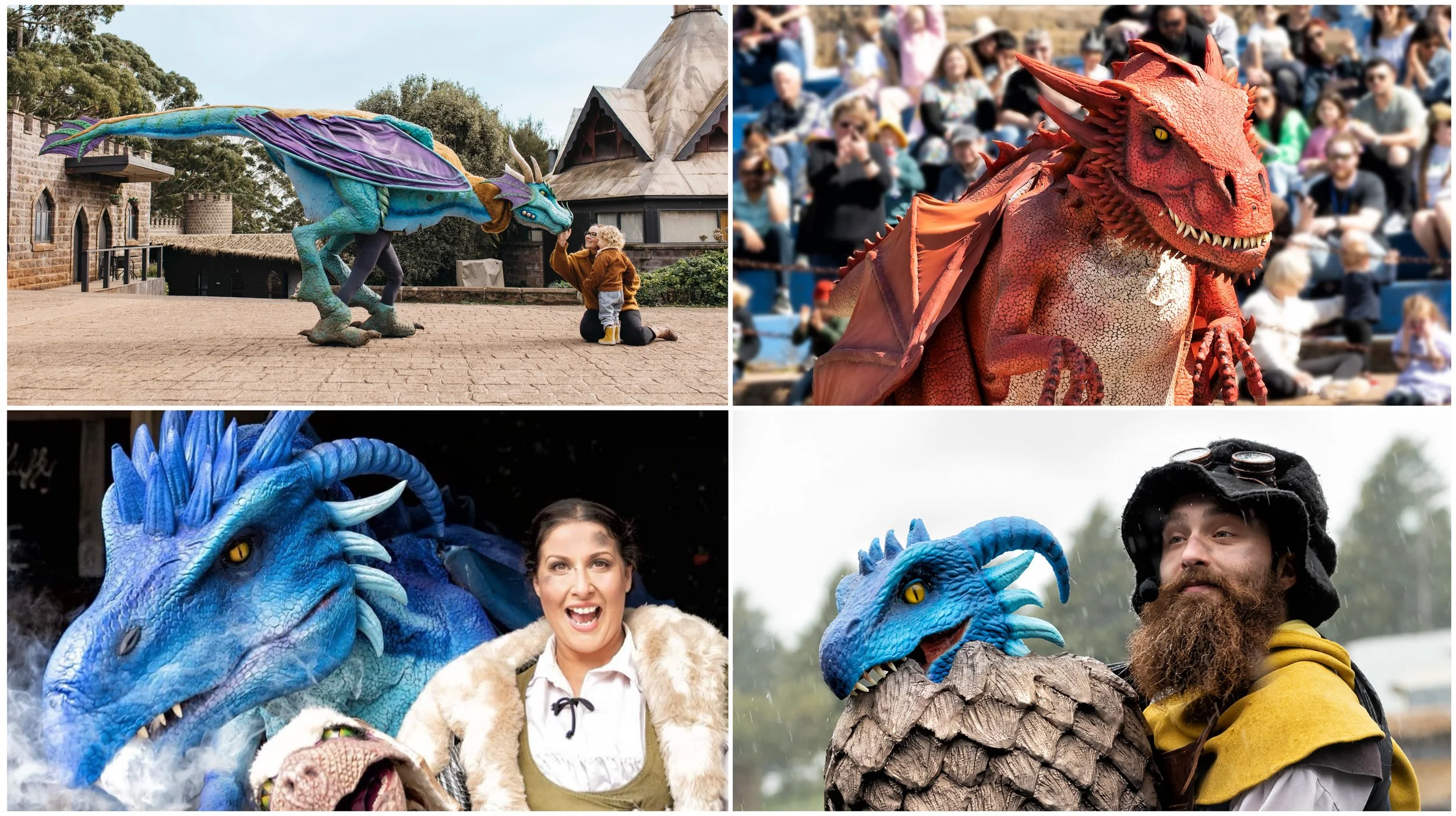 Dragons take flight at Kryal Castle these school holidays