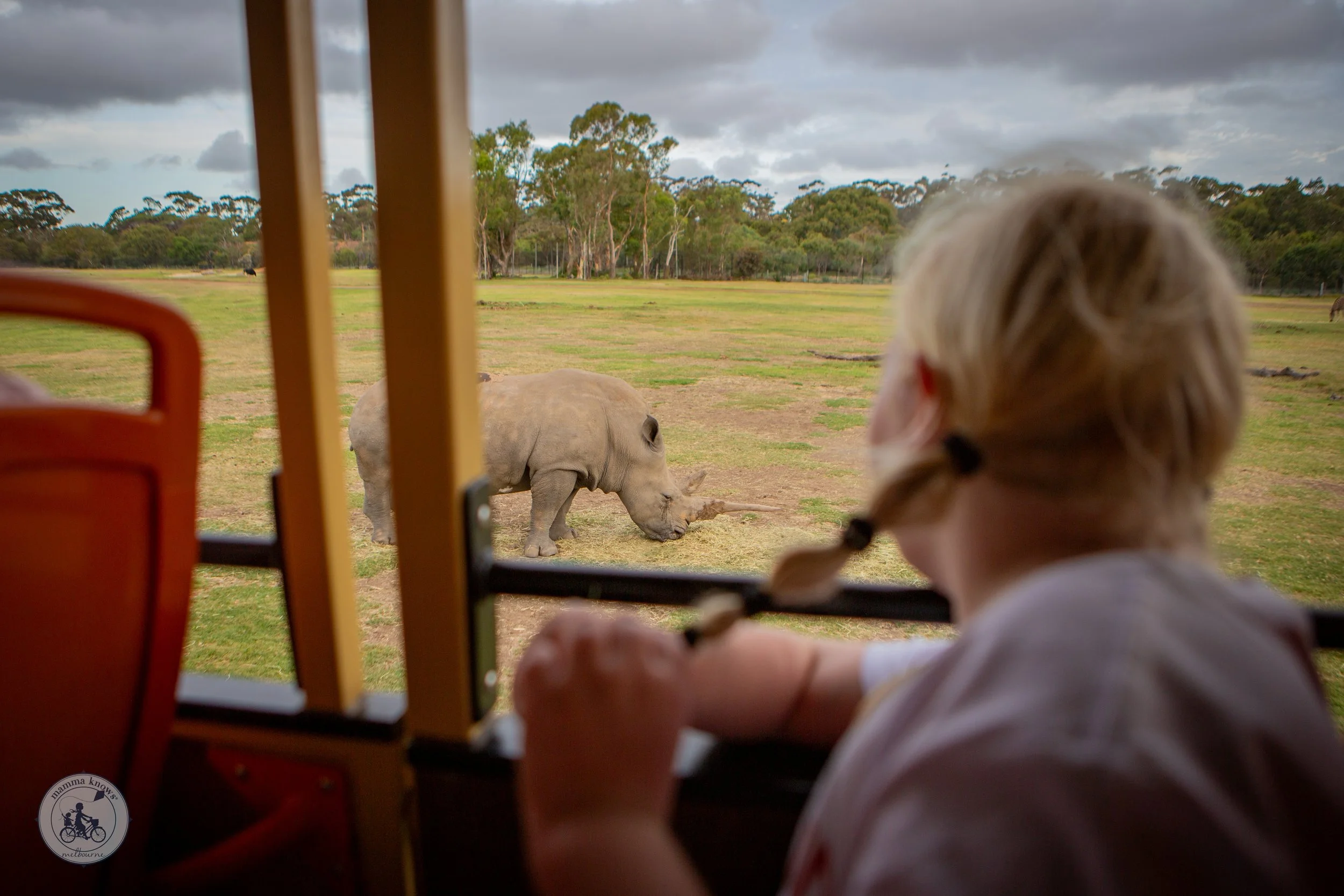 Sunset Safari @ Werribee Zoo- Copyright Mamma Knows South-42.jpg