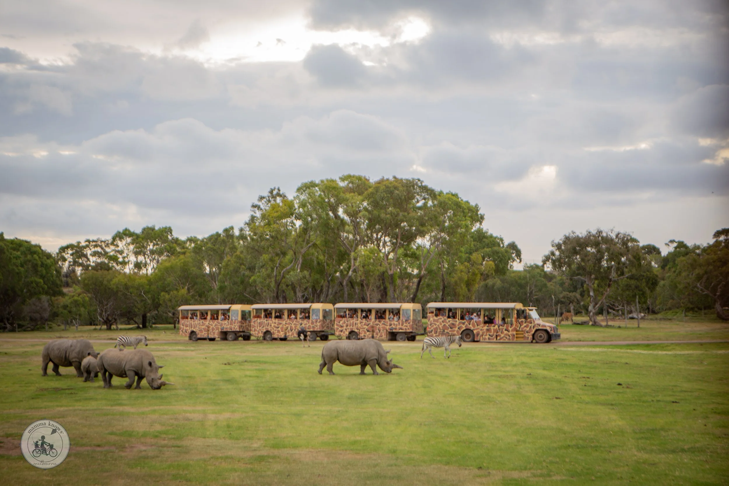 sunset safari, werribee open range zoo
