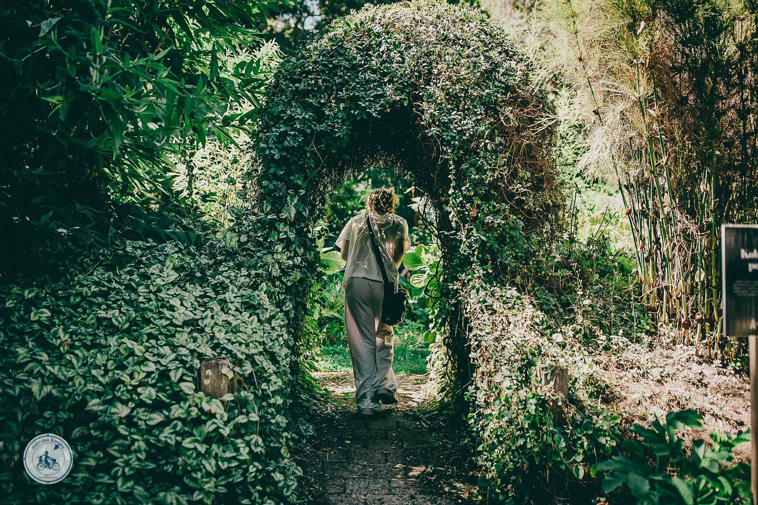 The Garden of St Erth, Blackwood