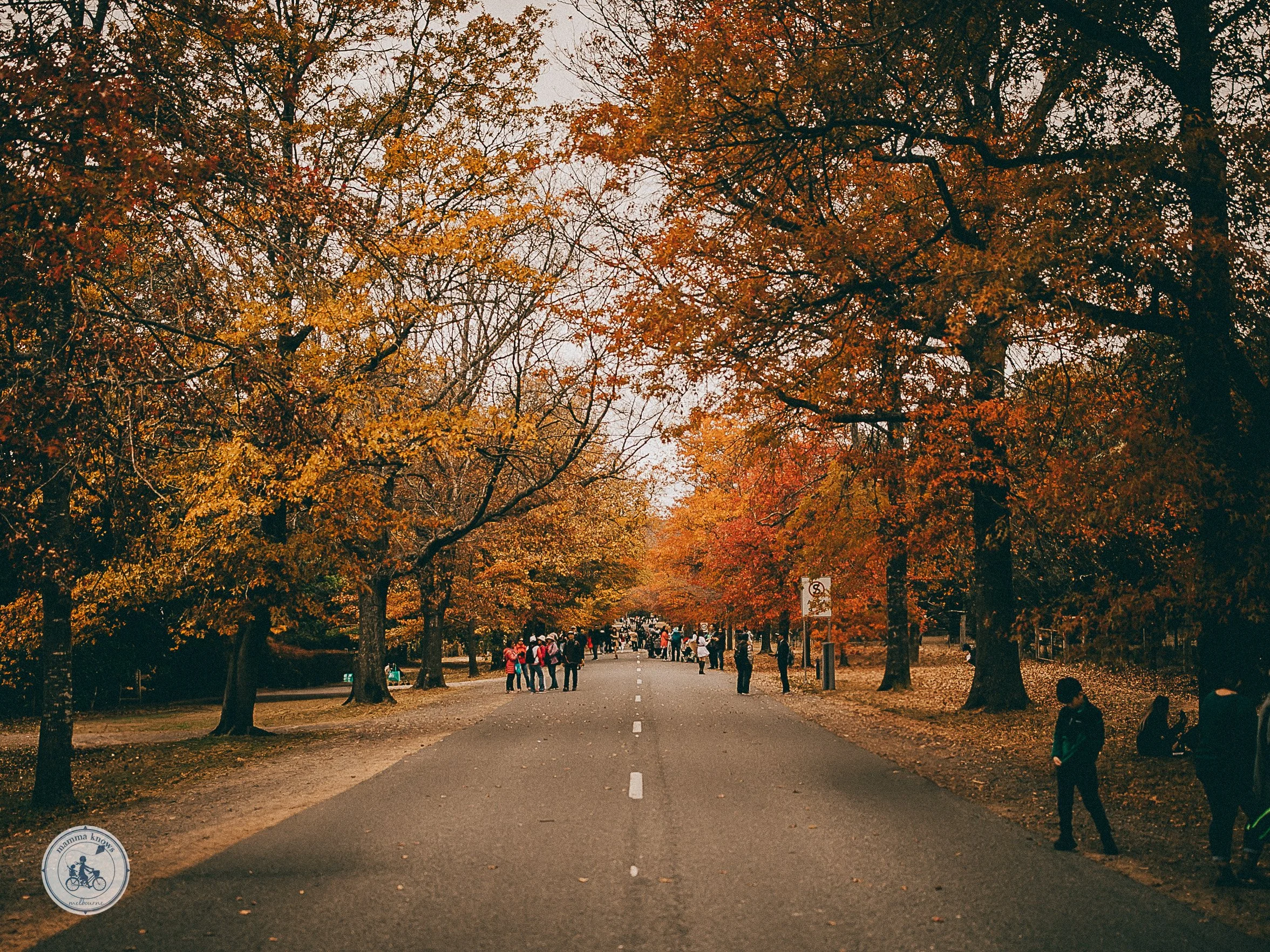 macedon ranges autumn festival