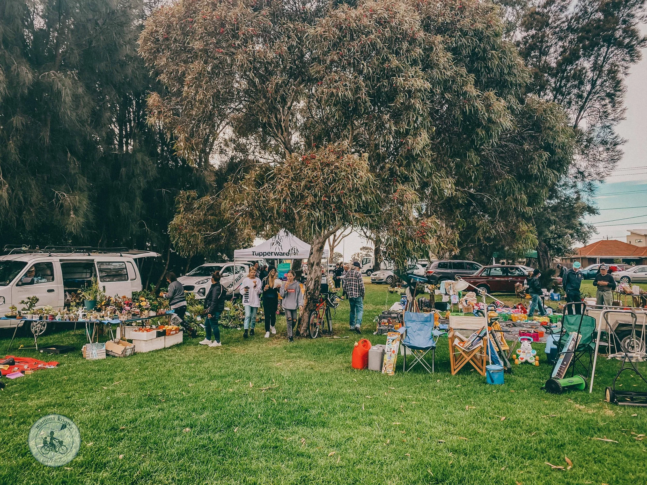 cherry lake lions club market, altona