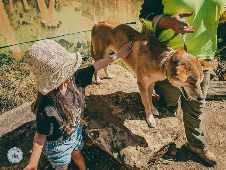 Jirrahlinga Wildlife Centre, Chewton