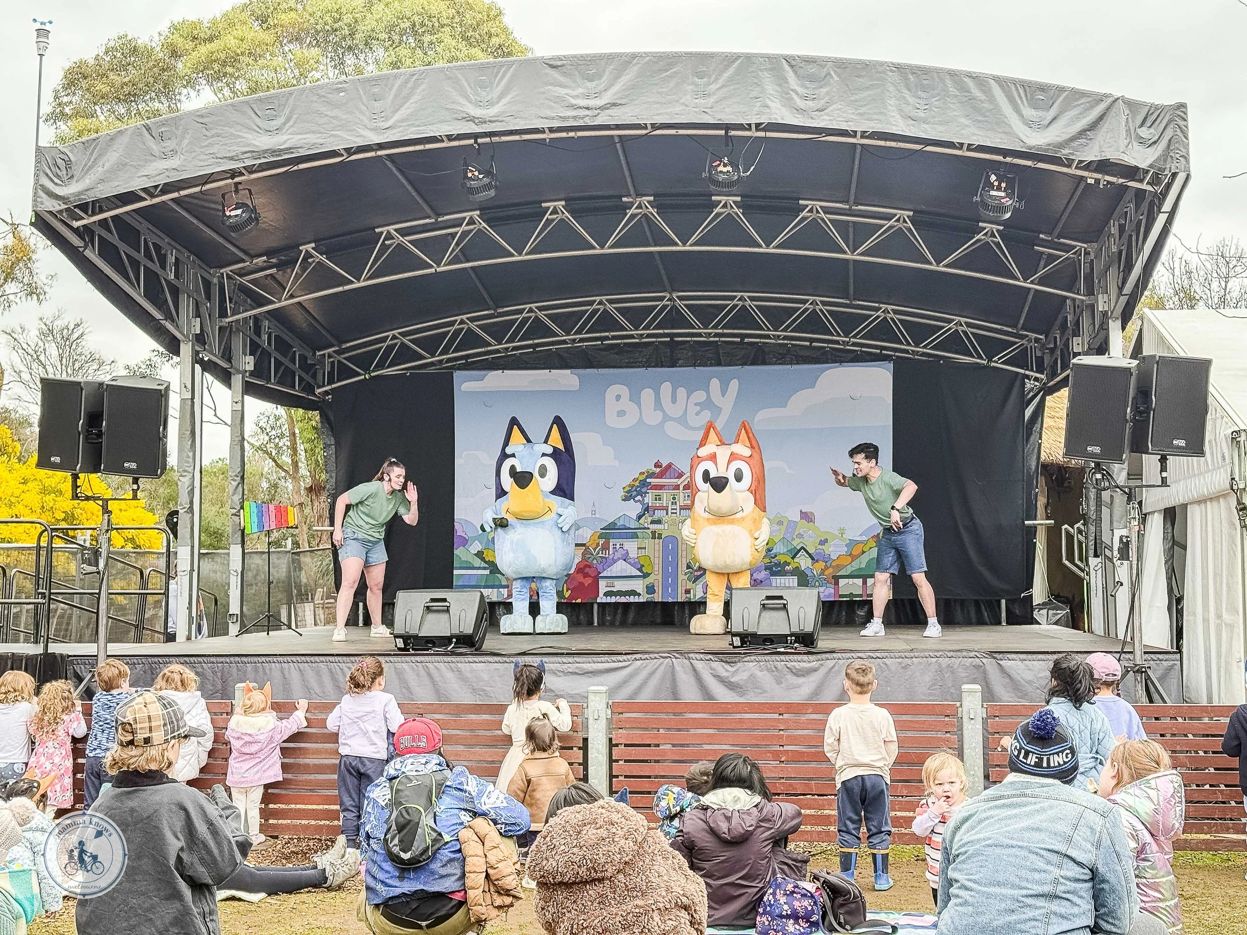 bluey takes over werribee open range zoo