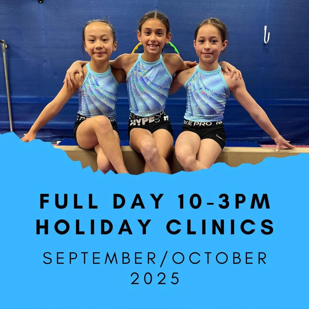 Acrobat Clinics - Team Adrenalin