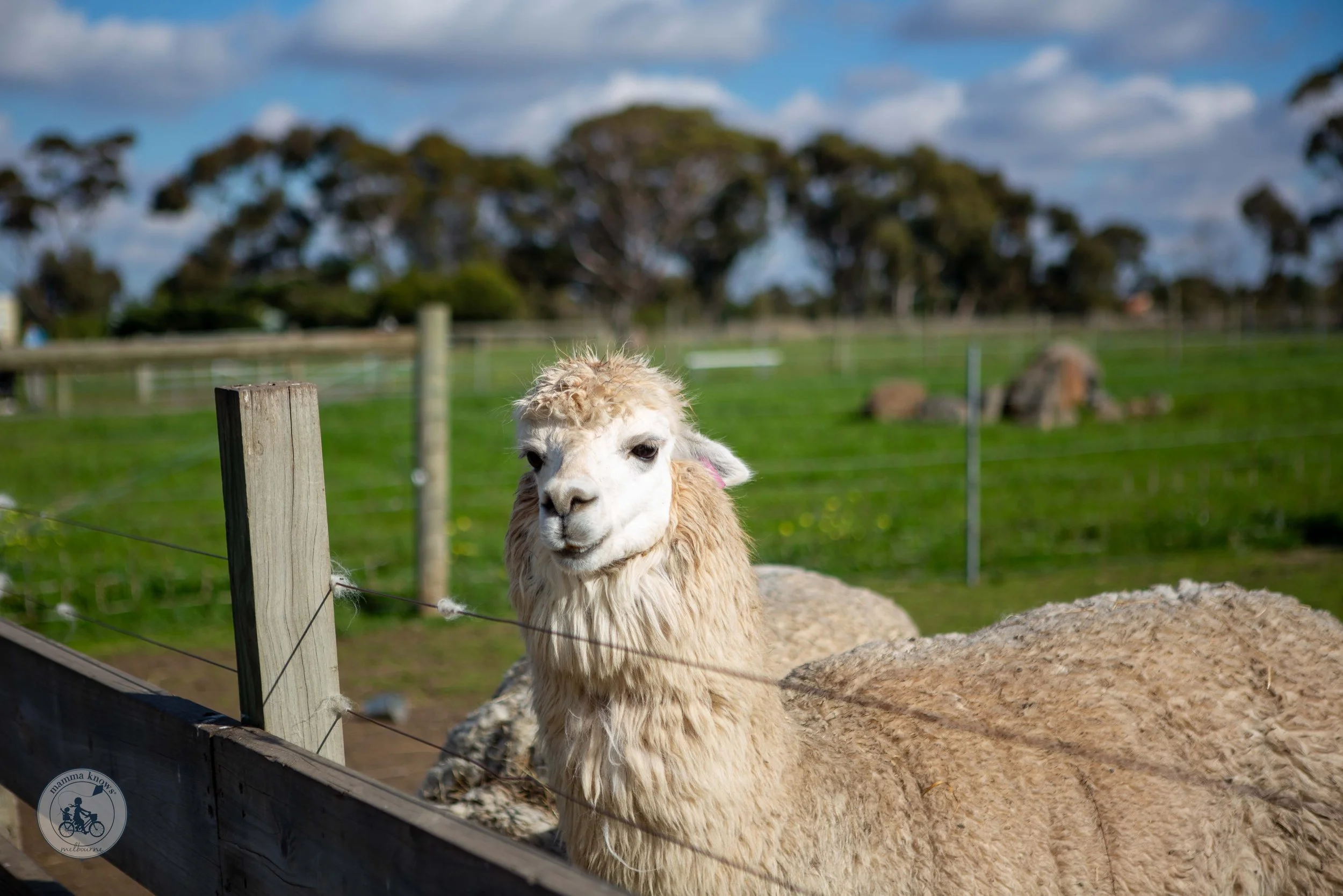 animal land children's farm, diggers rest