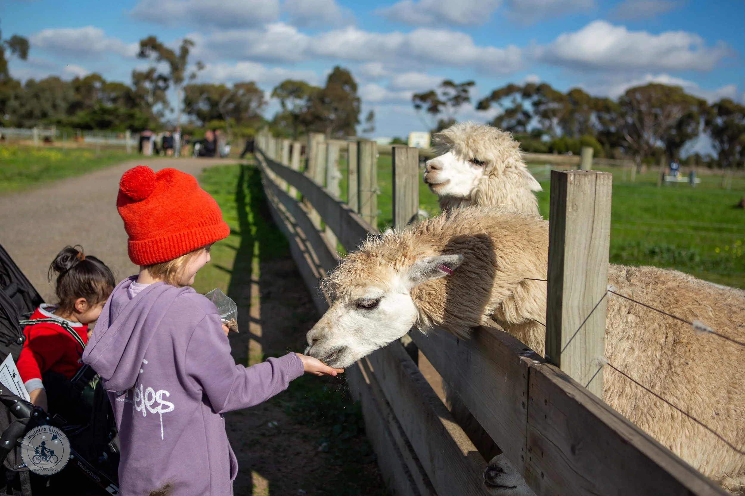 Animal Land Children's Farm