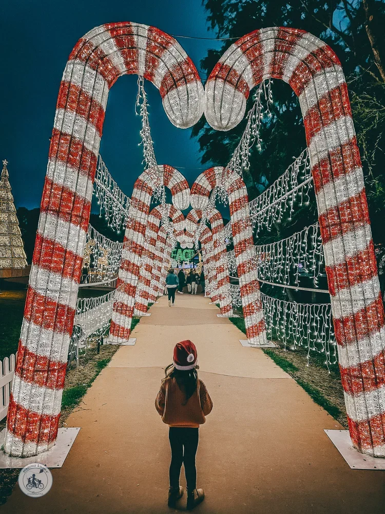 Festival of Lights Adventure Park 