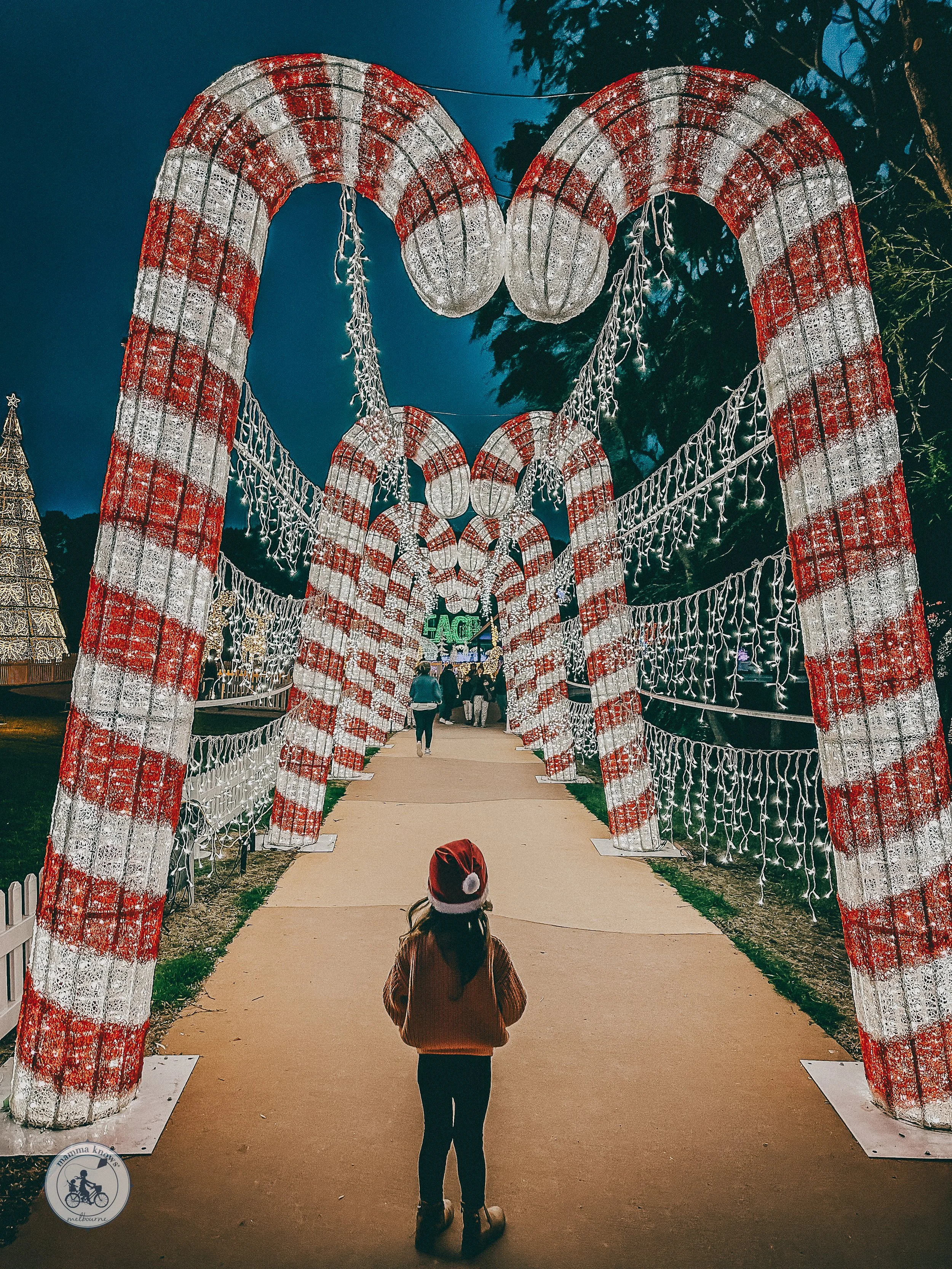 Festival of Lights 