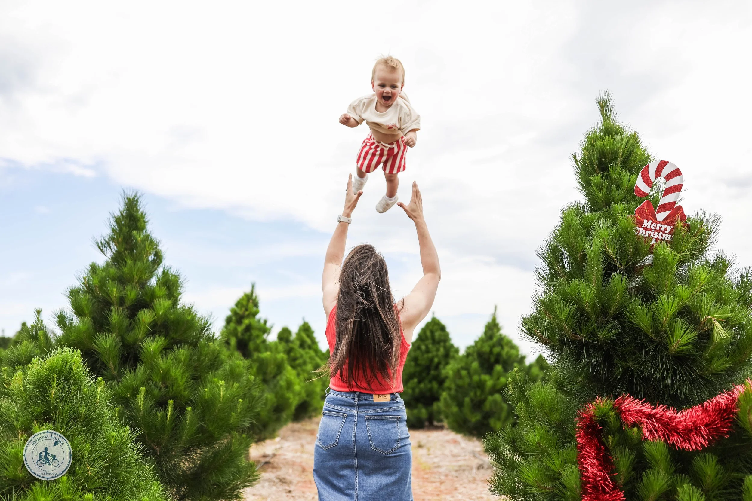 Christmas Tree Farm, Plumpton