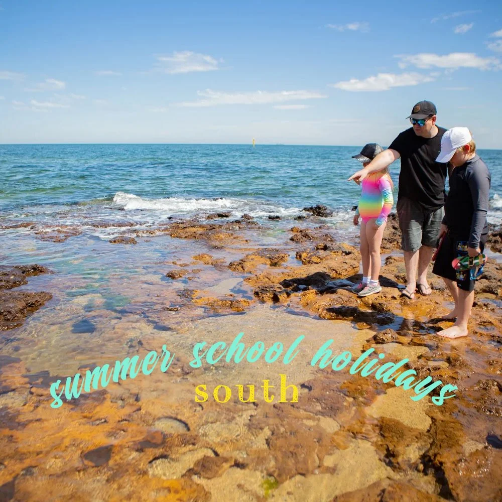 SOUTH FUN!
