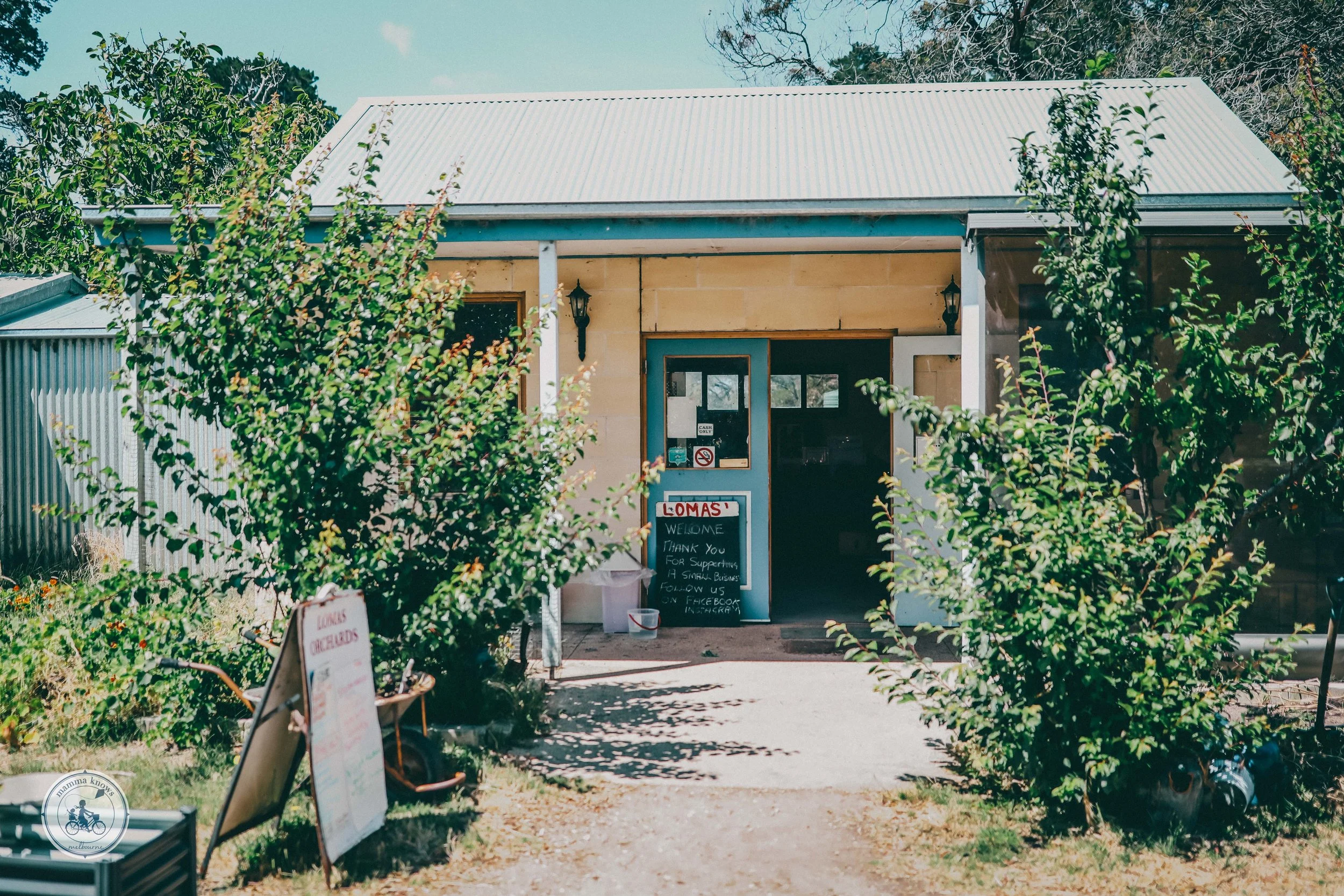 Lomas Orchards, Wallington