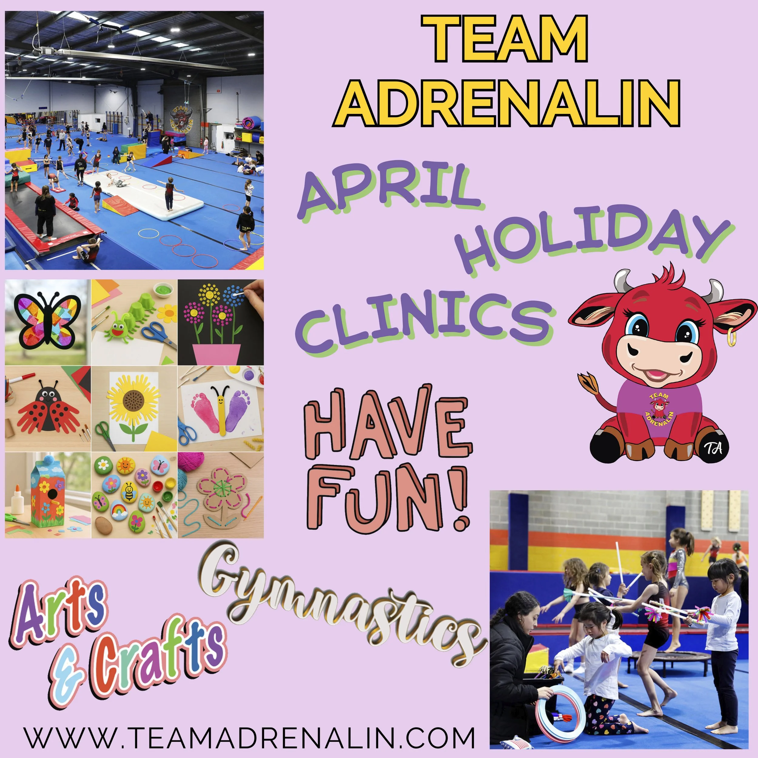 Acrobat Holiday Clinics