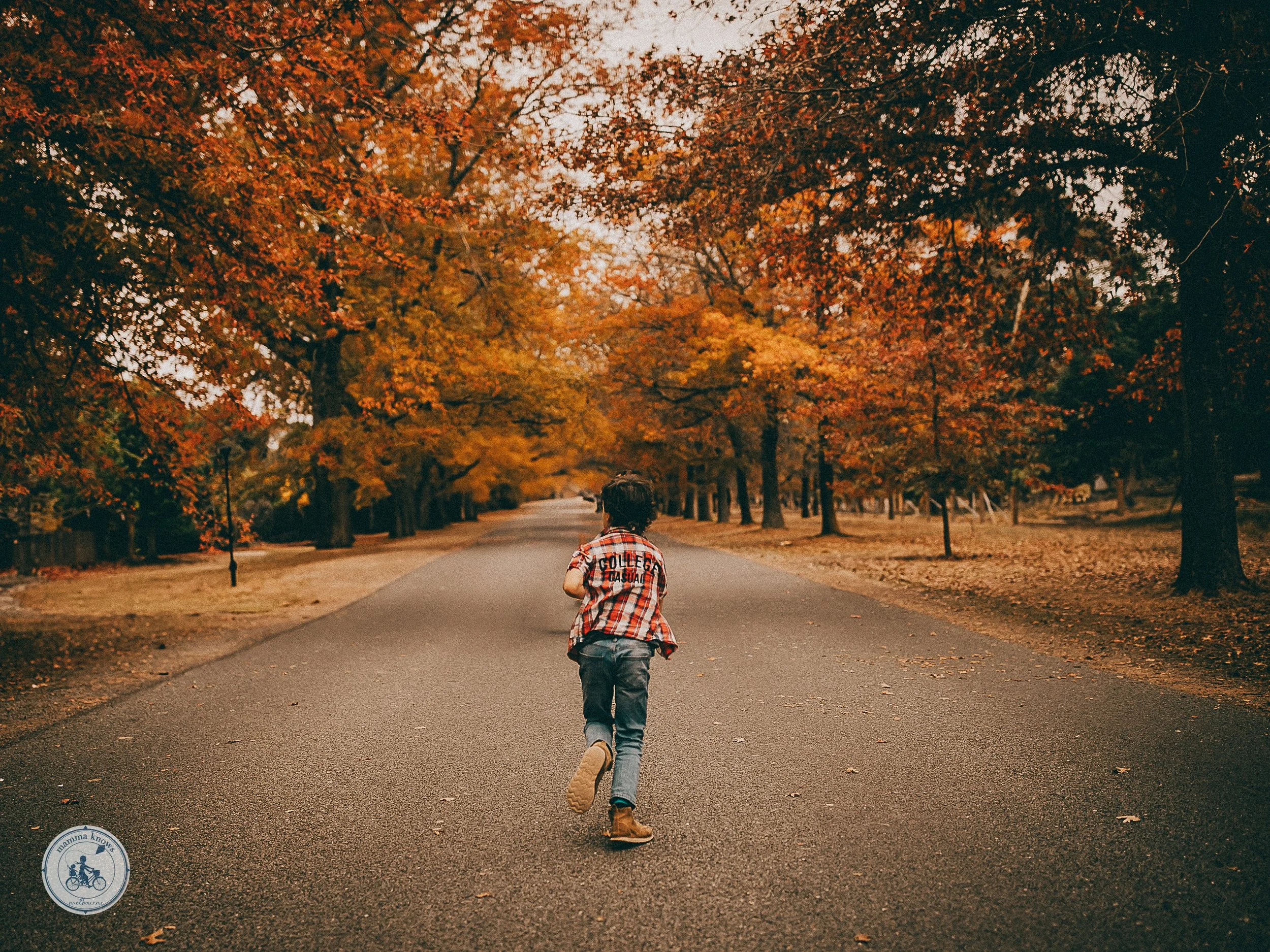 Macedon Ranges Autumn Festival