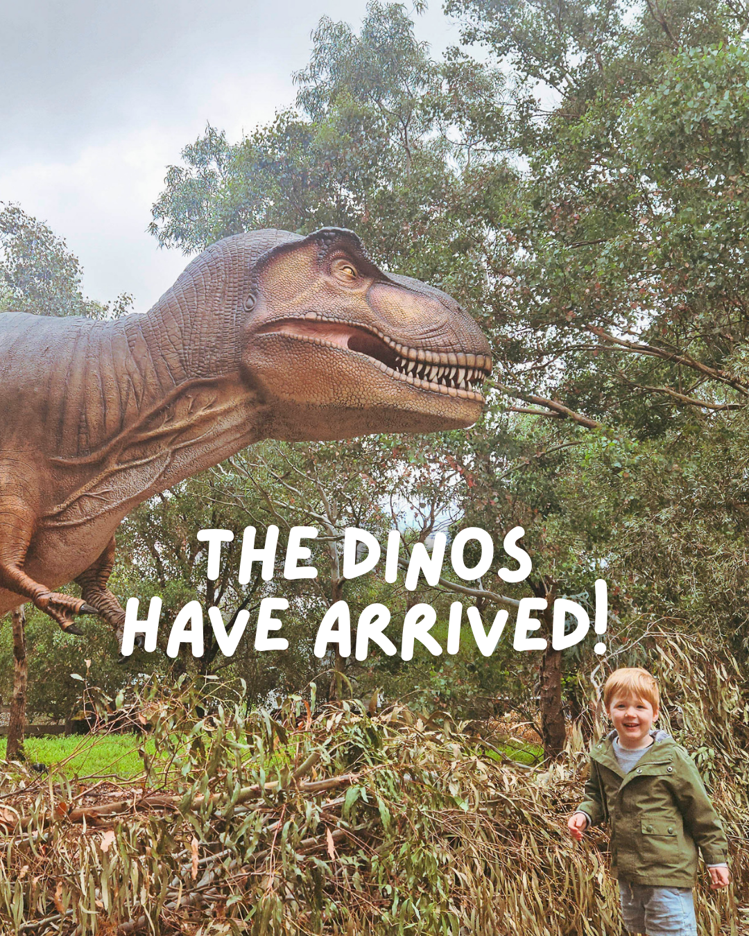 Dinos at Werriee Zoo 