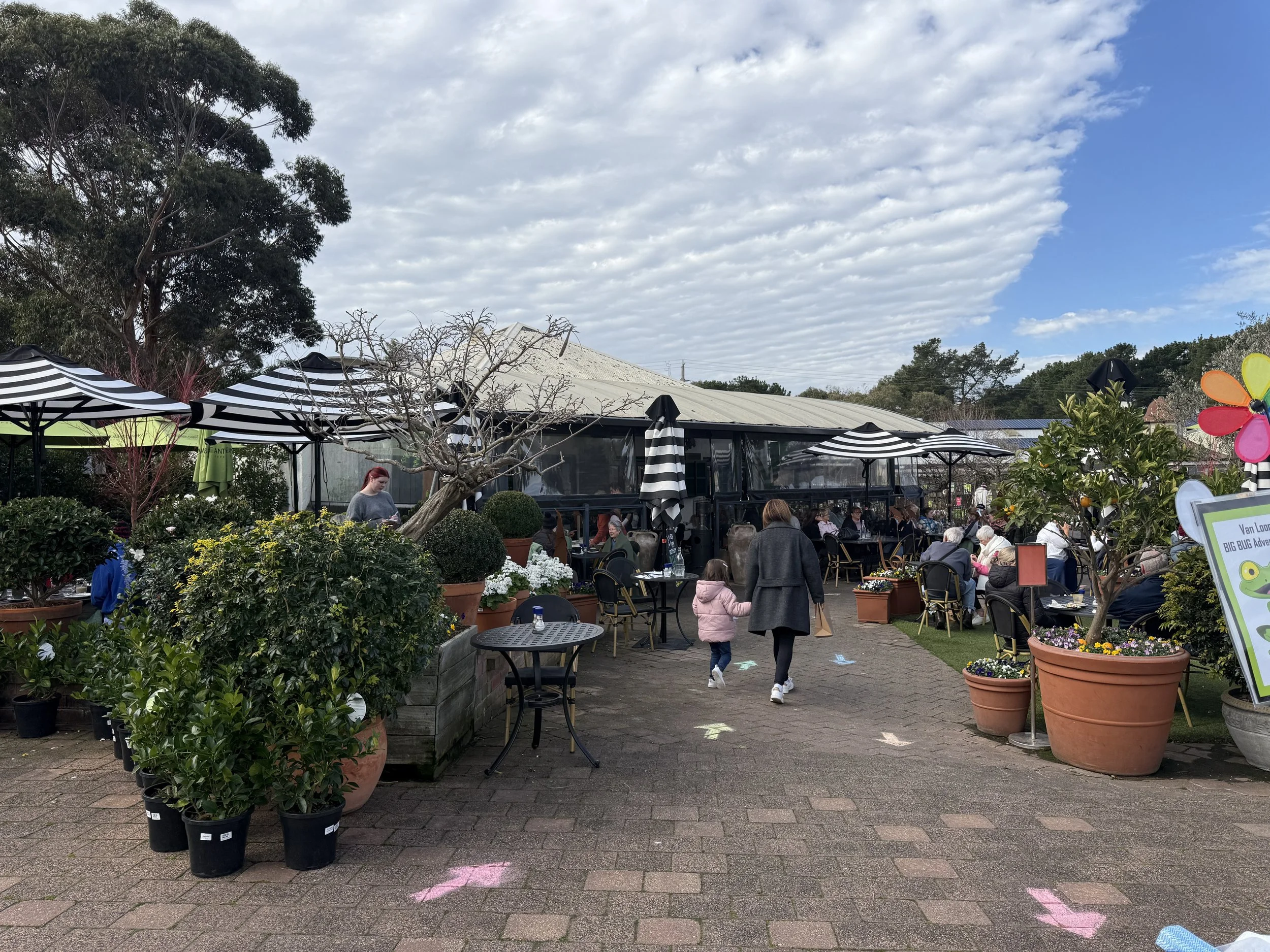 Van Loons Nursery Cafe, Wallington