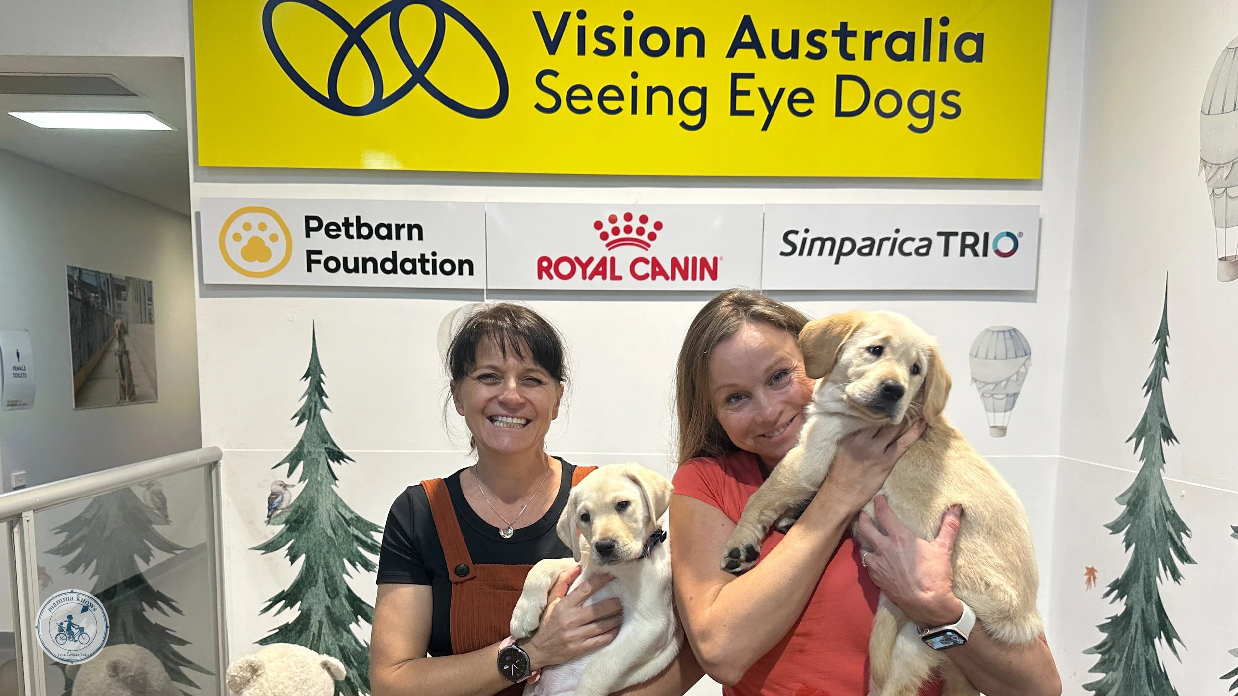 vision australia, seeing eye dogs, kensington