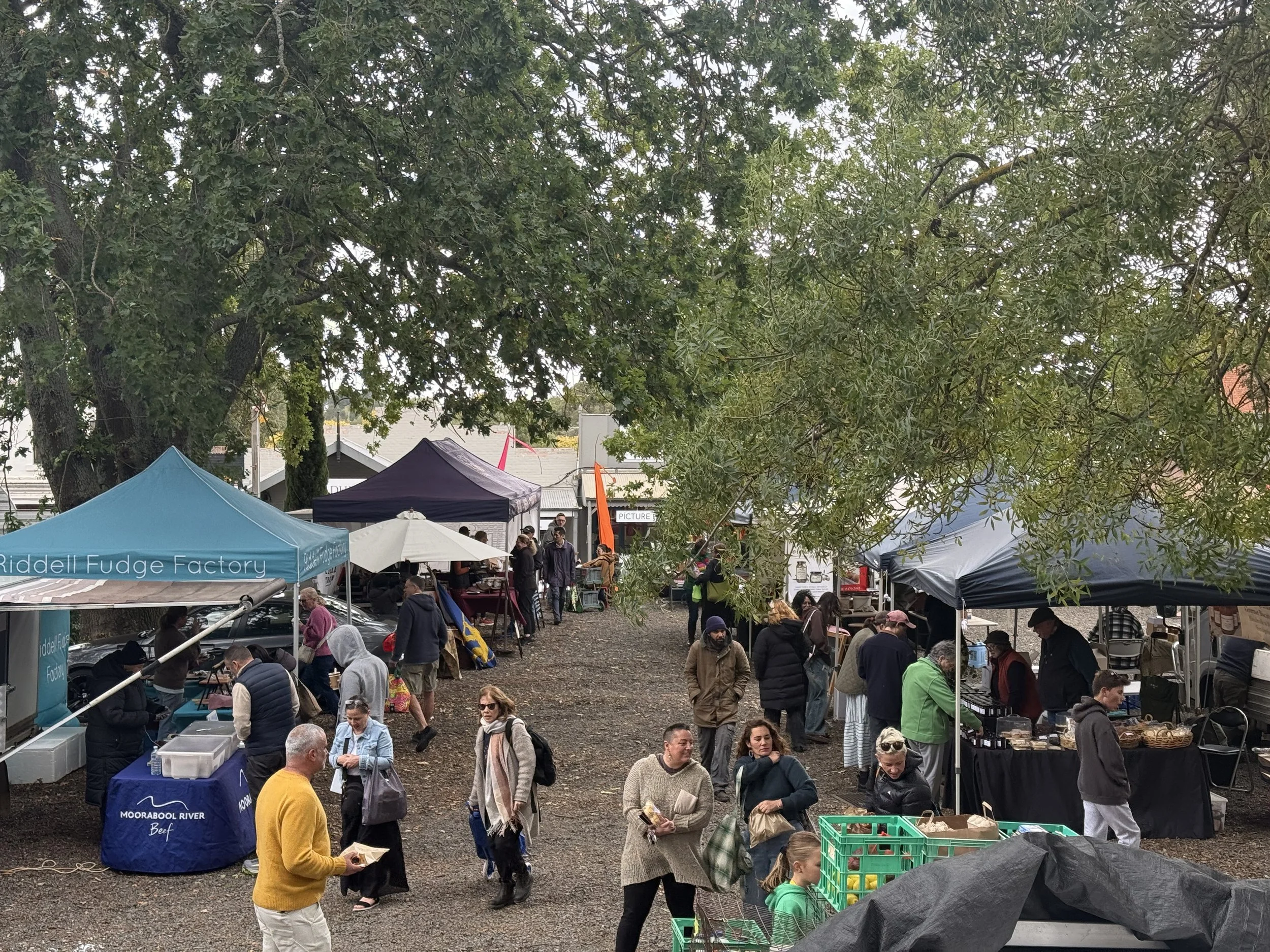 Kyneton Farmers Market, Kyneton