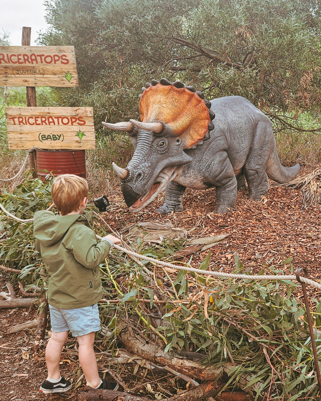 Dinos at Werribee Open Range Zoo