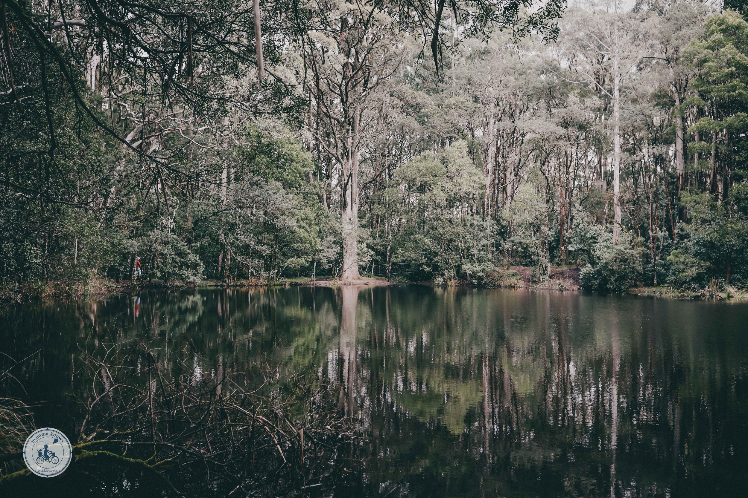 sanatorium lake nature walk and memorial cross, mount macedon