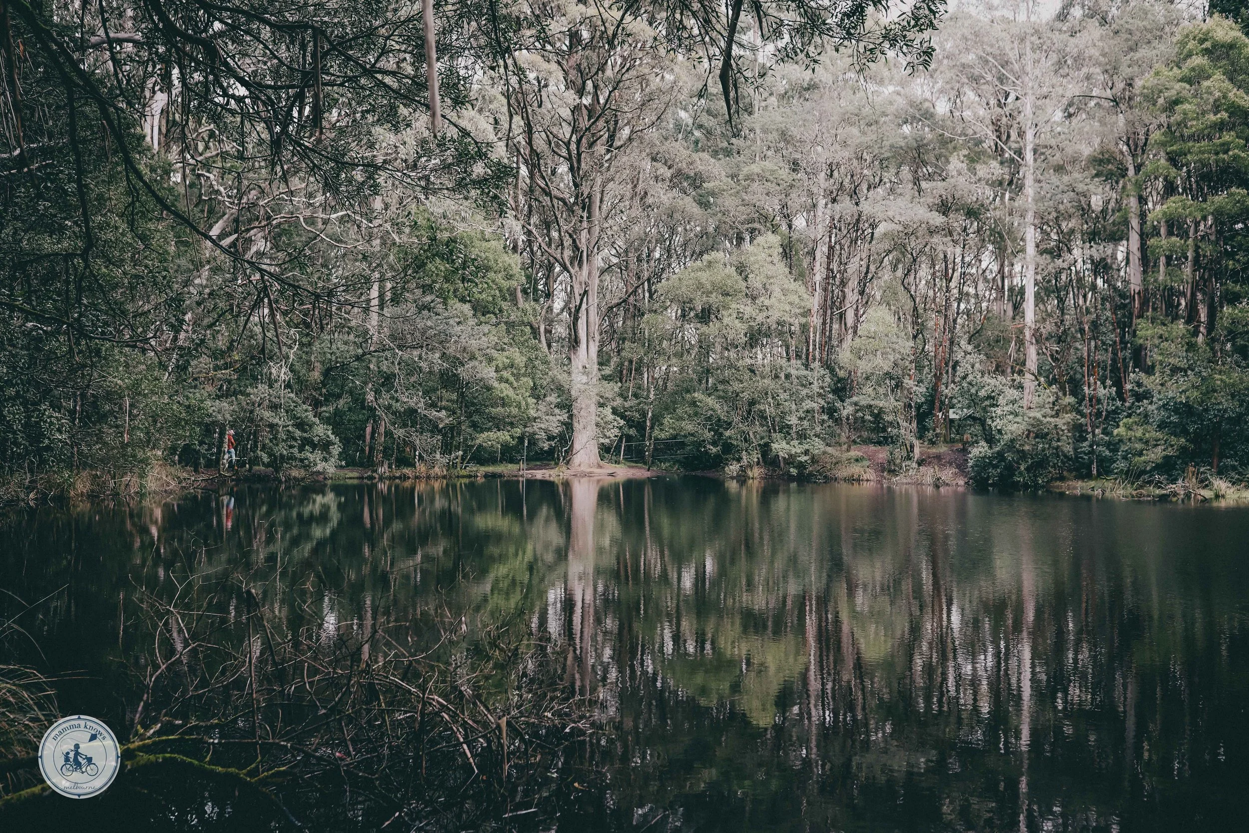 Sanatorium Lake Walk