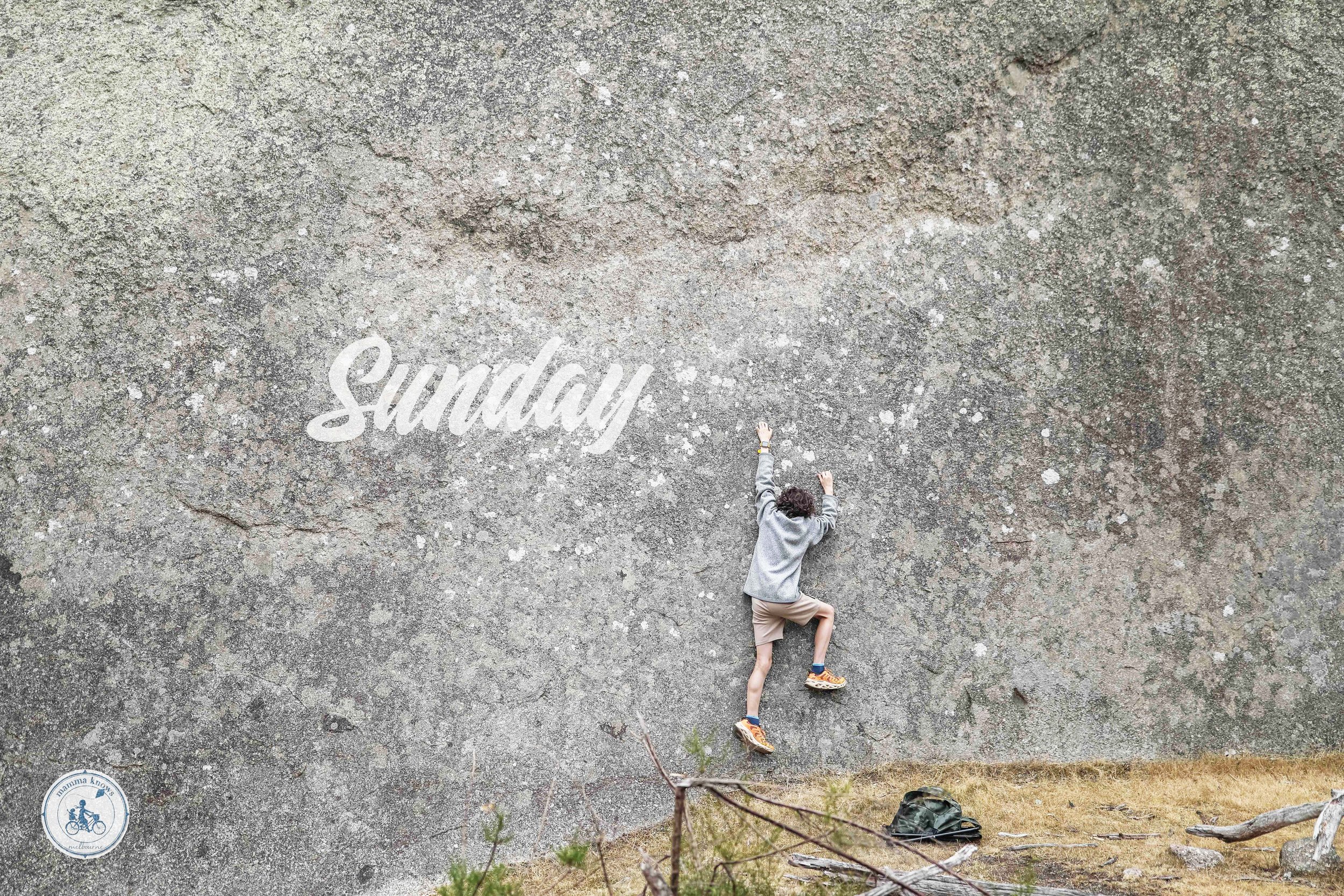 sunday feb 15 west.jpg