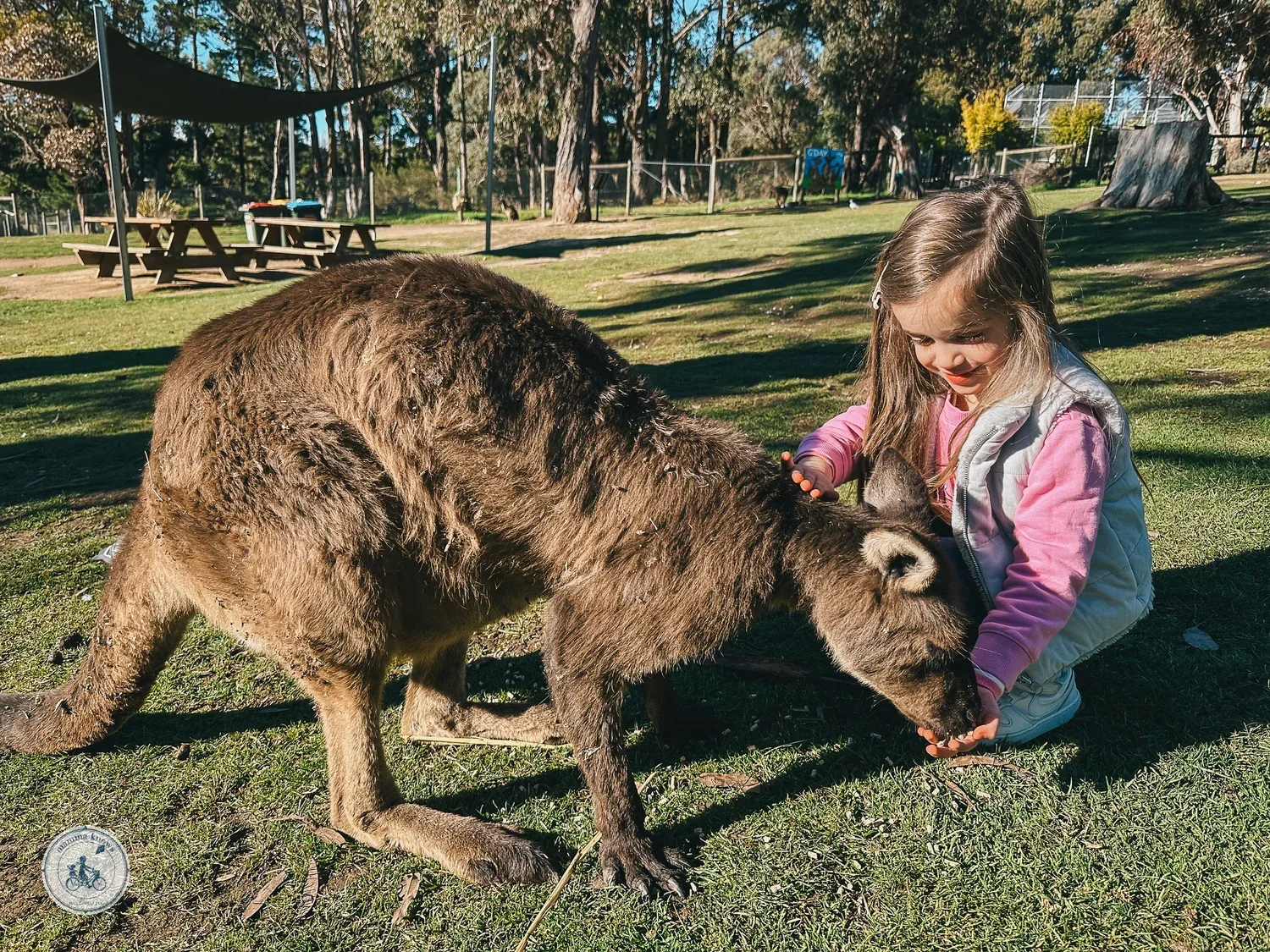 Ballarat Wild Life Park Animals Family Adventure Road Trip Melbourne's West