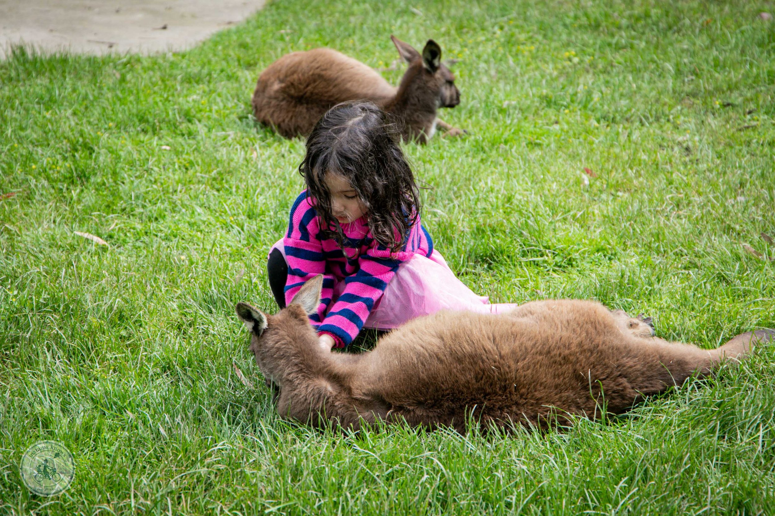 Ballarat Wildlife Park