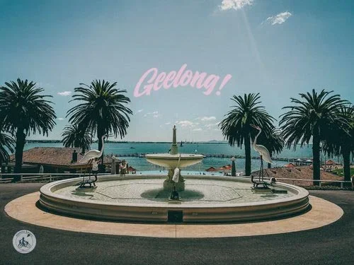 Geelong Best Of Activities Family Friendly Parks Playground Beach Cafe Restaurant Things To Do With Kids Melbourne's West