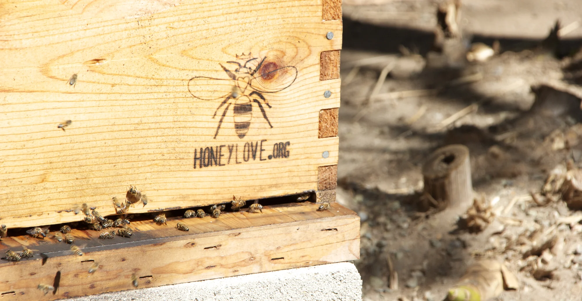 honeylove1.jpg