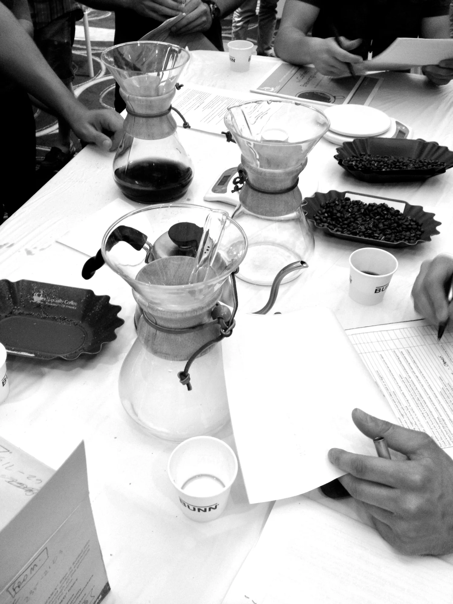 Brew Methods, Barista Camp 2013.