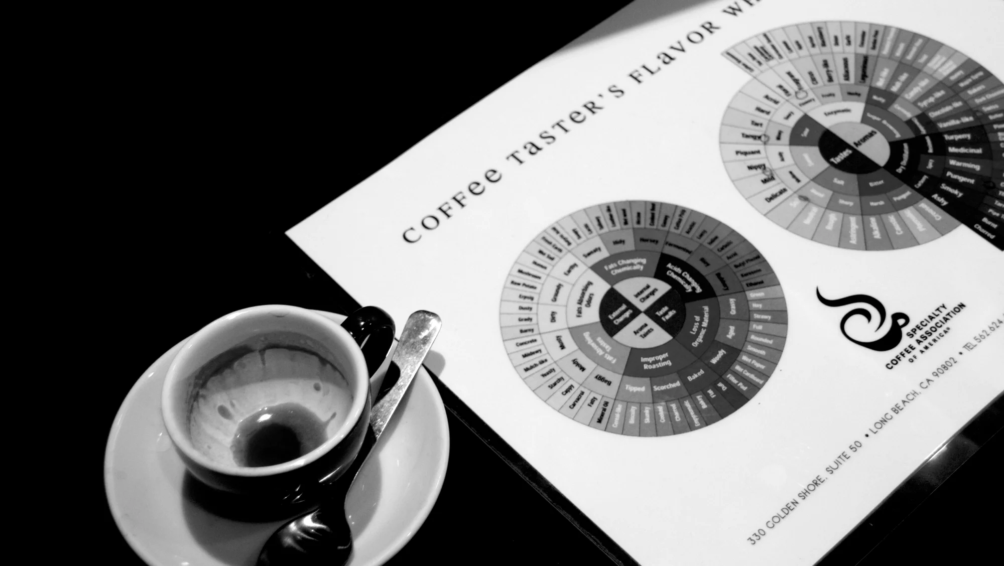 The SCAA Coffee Tasting Flavor Wheel, Barista Camp 2013. 