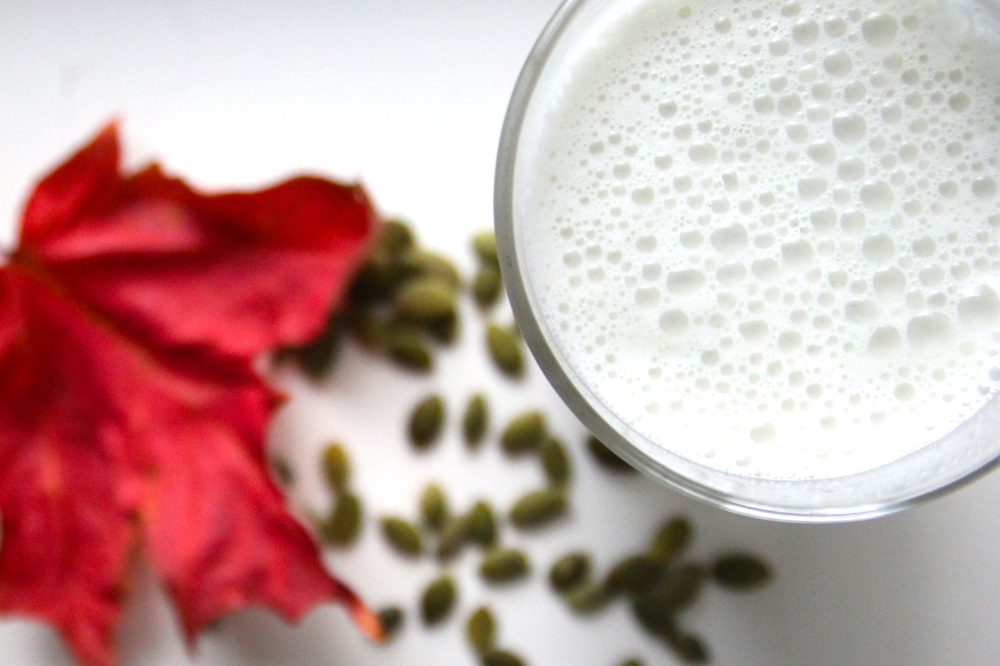 Pumpkin Seed Milk