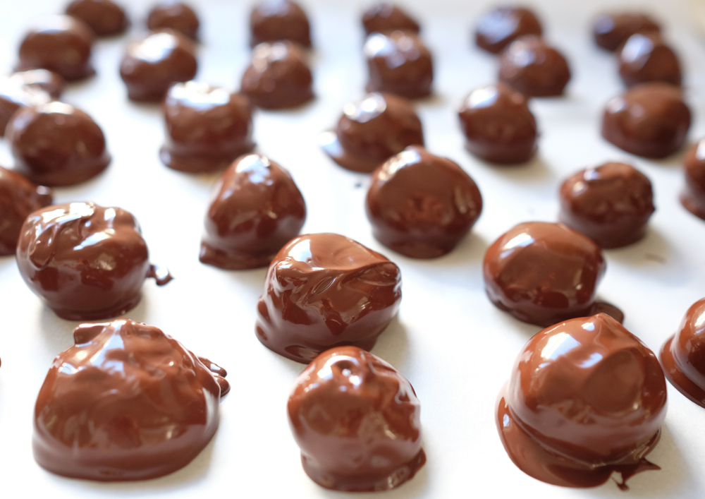 Coconut Almond Bon Bons