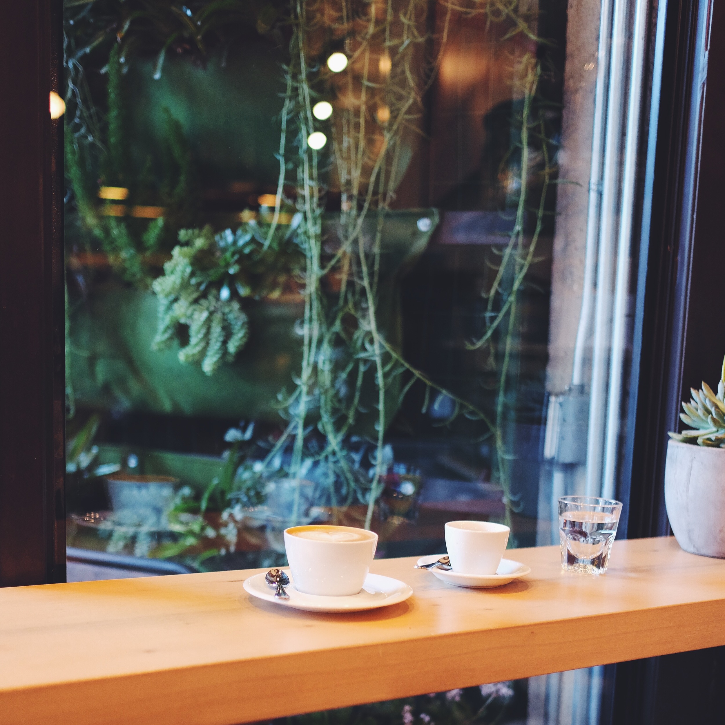 MENO cups, Verve Coffee, Downtown L.A. 