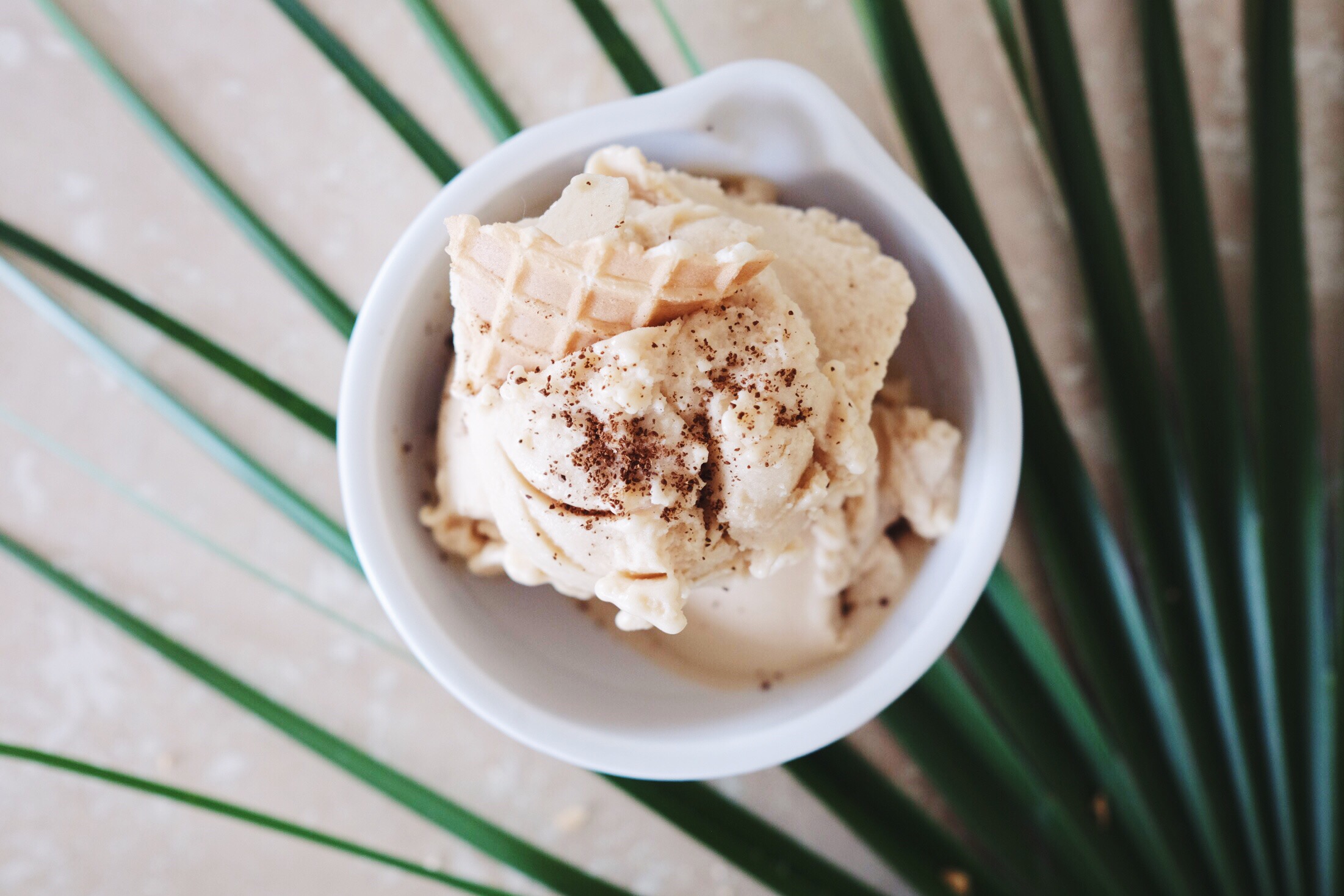 Coconut Coffee Ice Cream 