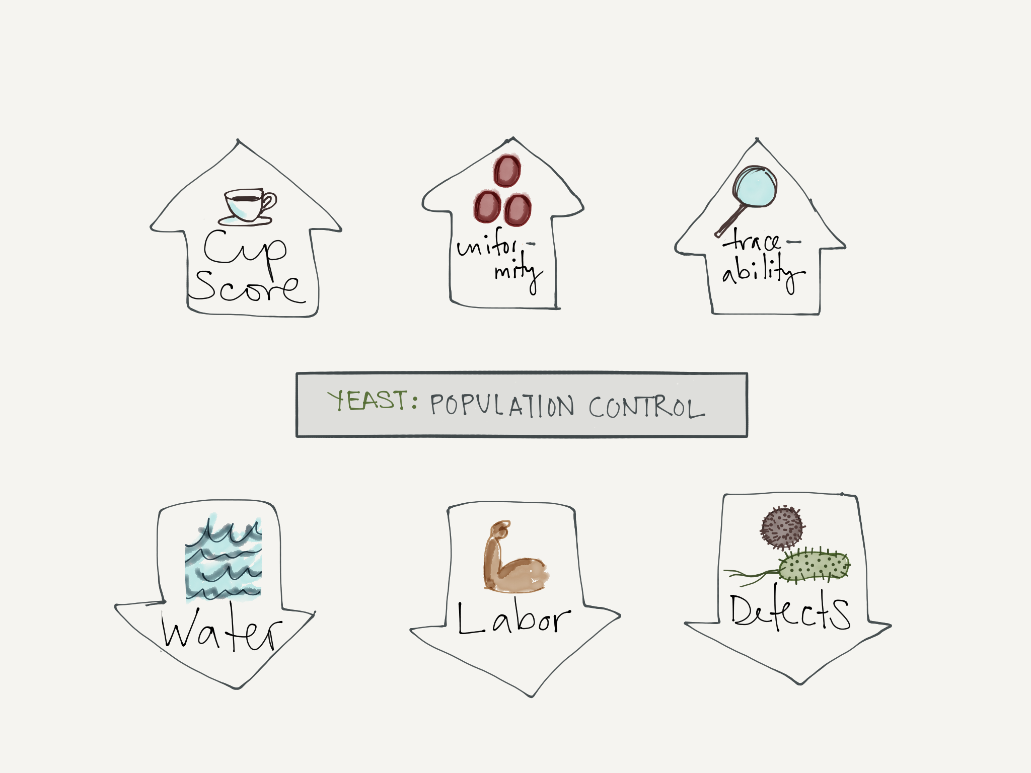 The Benefits of Yeast Population Control. Illustration by Lucia Solis