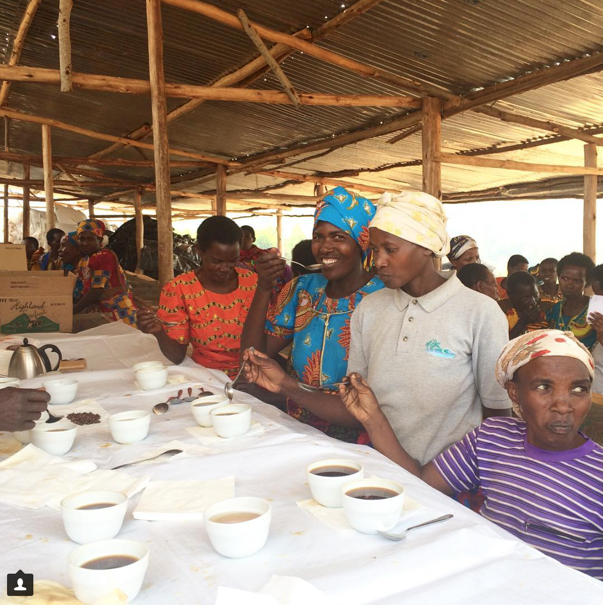 “That moment when you realize how much you truly love what you do. Today, members of a cooperative cupped their harvest from this season right at their own washing station - coffee they grew, harvested and processed themselves." Photo by Aleida Stone 