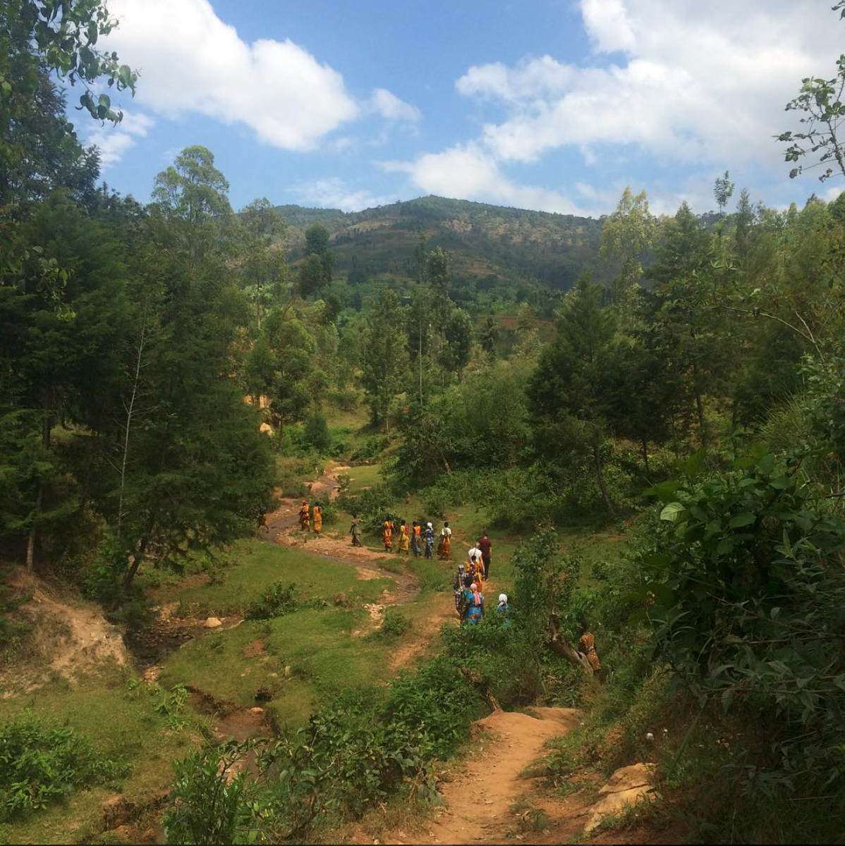 "Journey from crop plot to wet mill." Photo by Aleida Stone