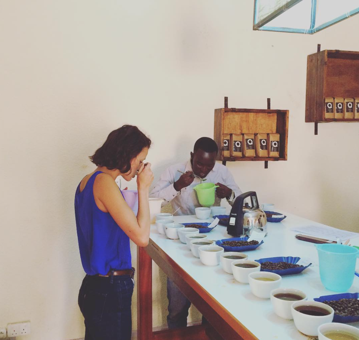 “Sample cupping: One washing station, two different weeks of harvest, three separate hills.” Photo courtesy of Aleida Stone