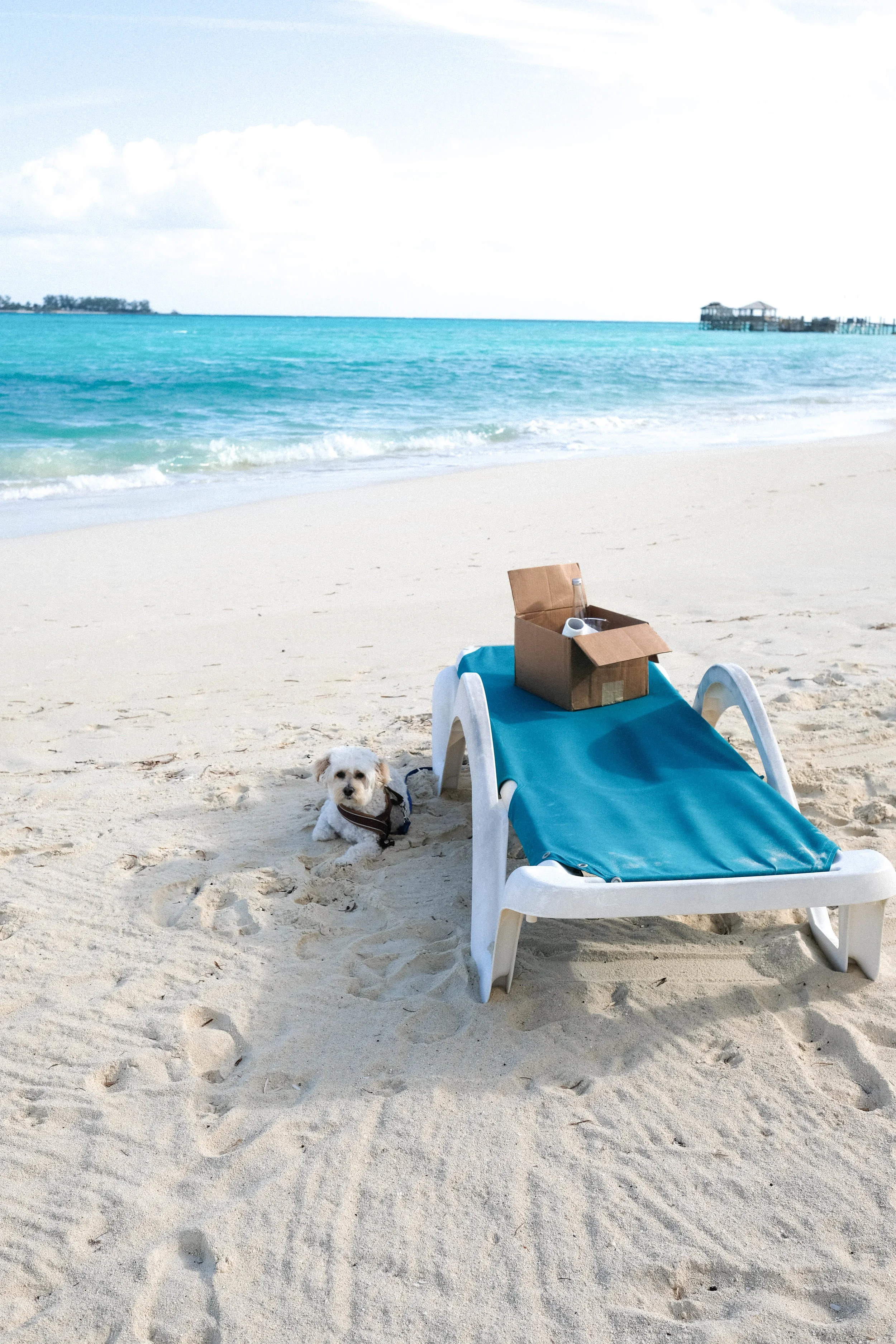 tlbcc_beach-13.jpg