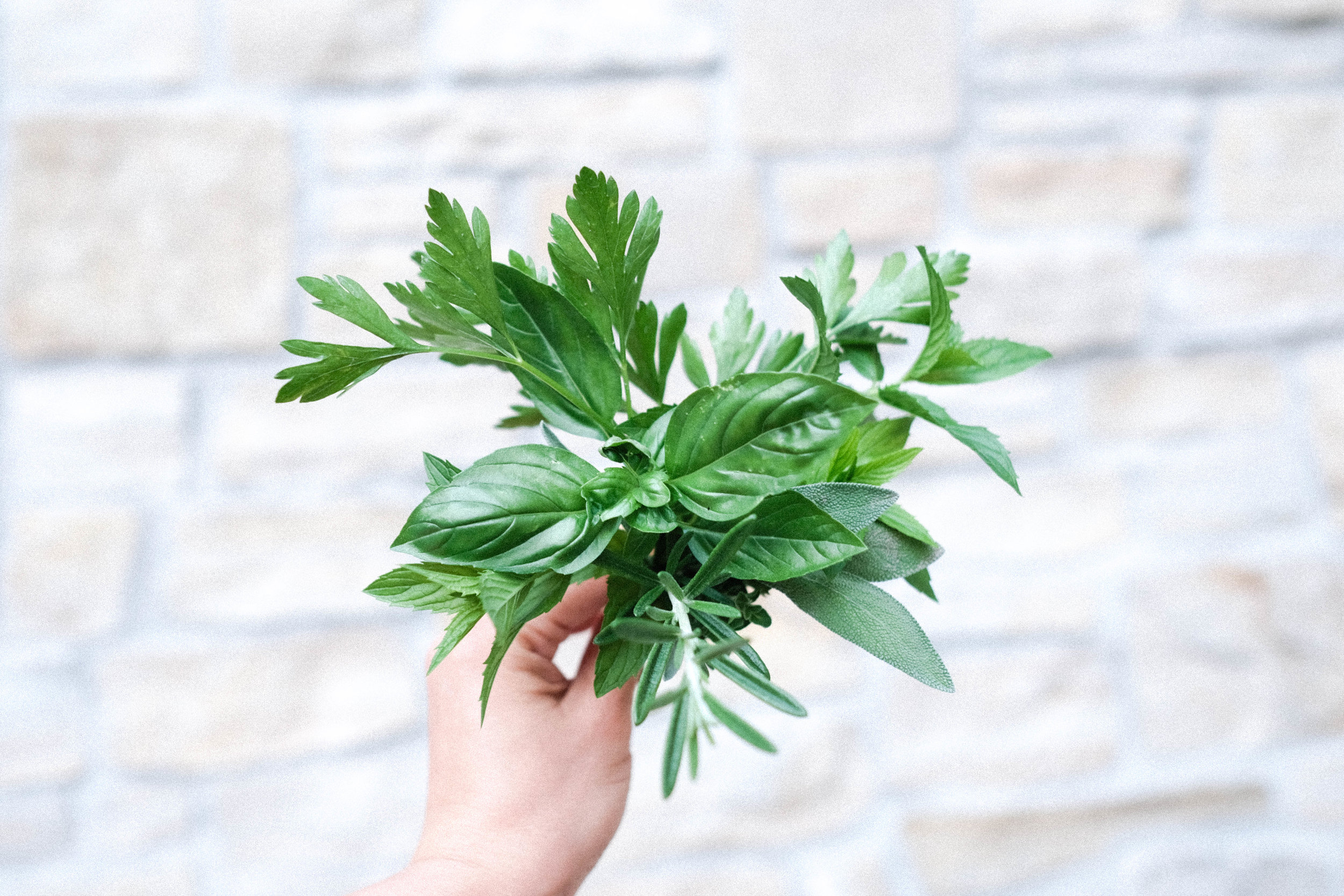 Summer Garden Tea | featuring fresh & fragrant herbs