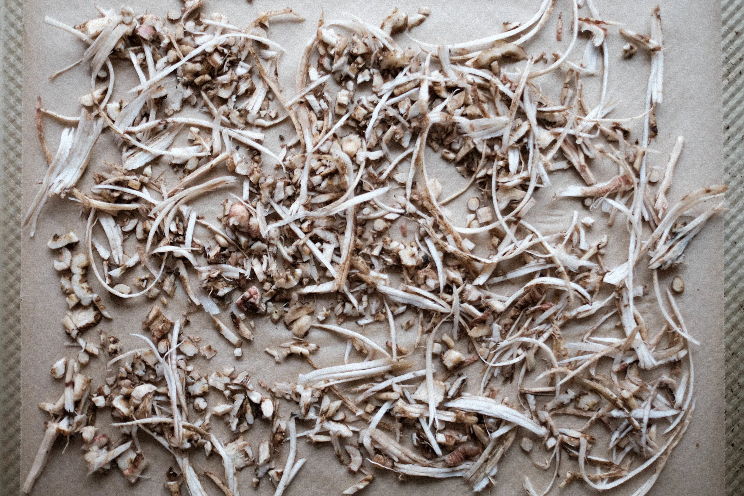 Chicory-11.jpg