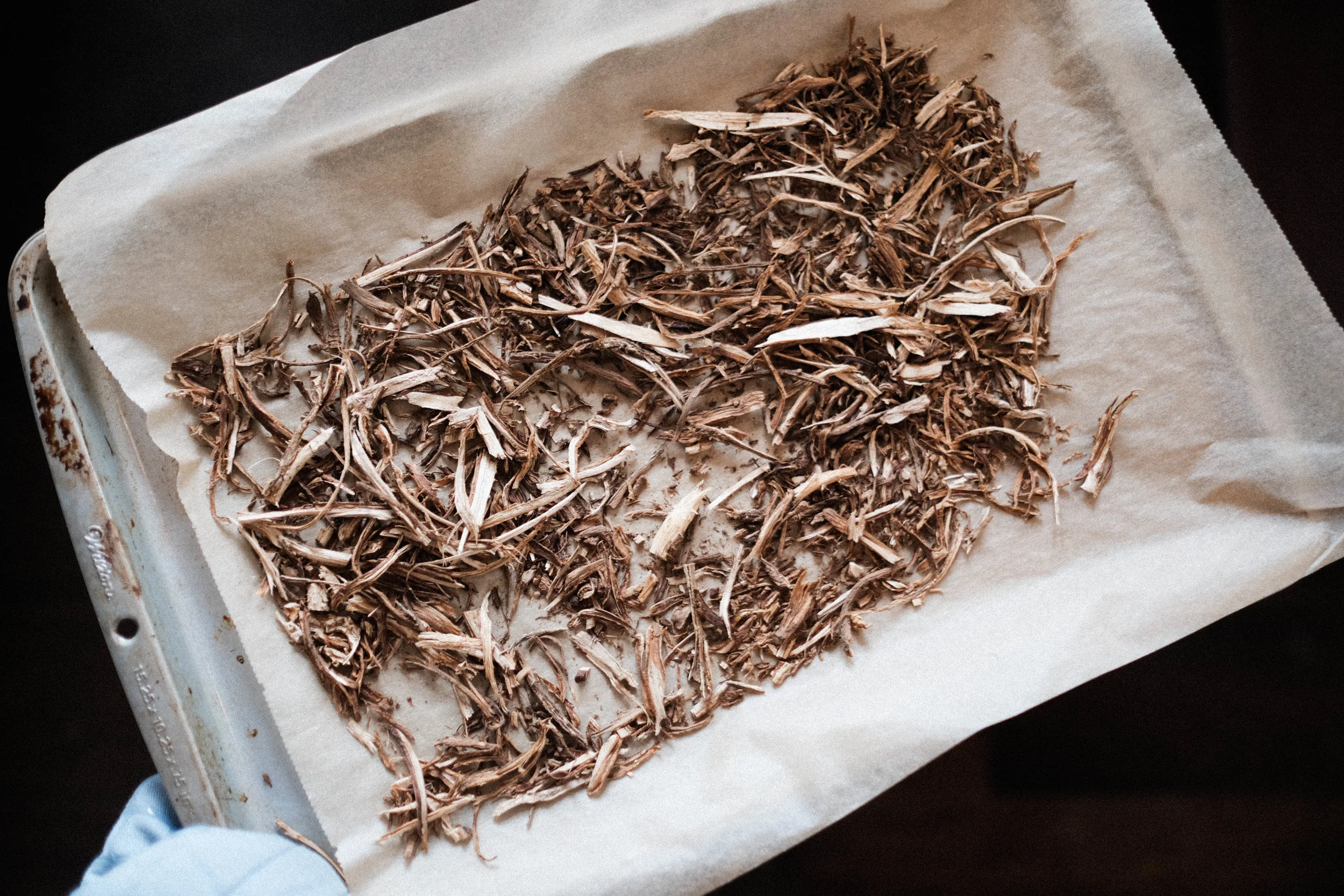 Chicory-158.jpg