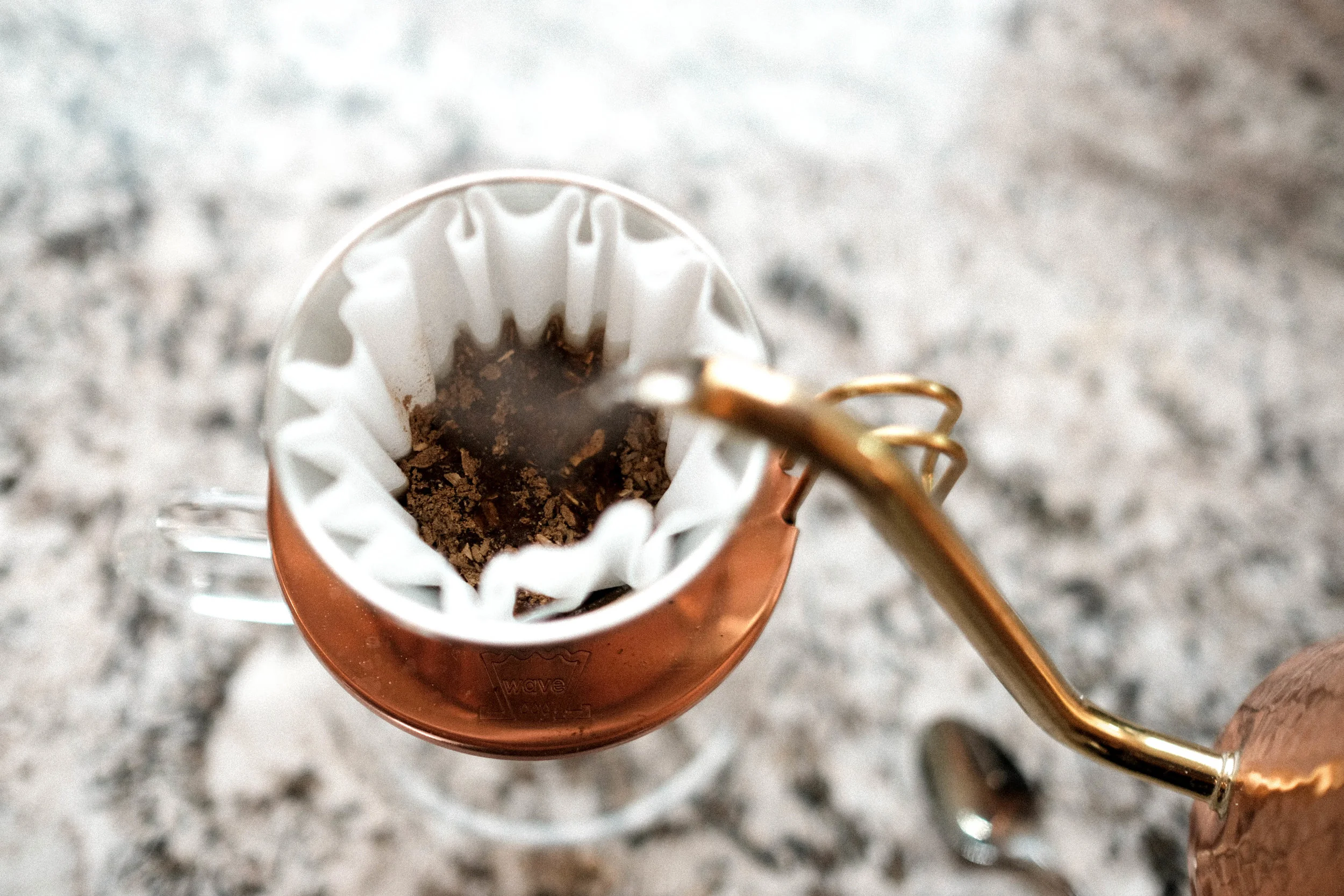 Chicory-116.jpg